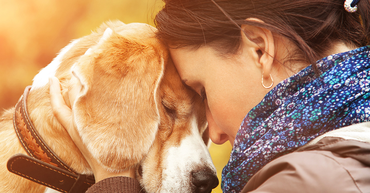 How Assistance Dogs Help Those With Hearing Loss