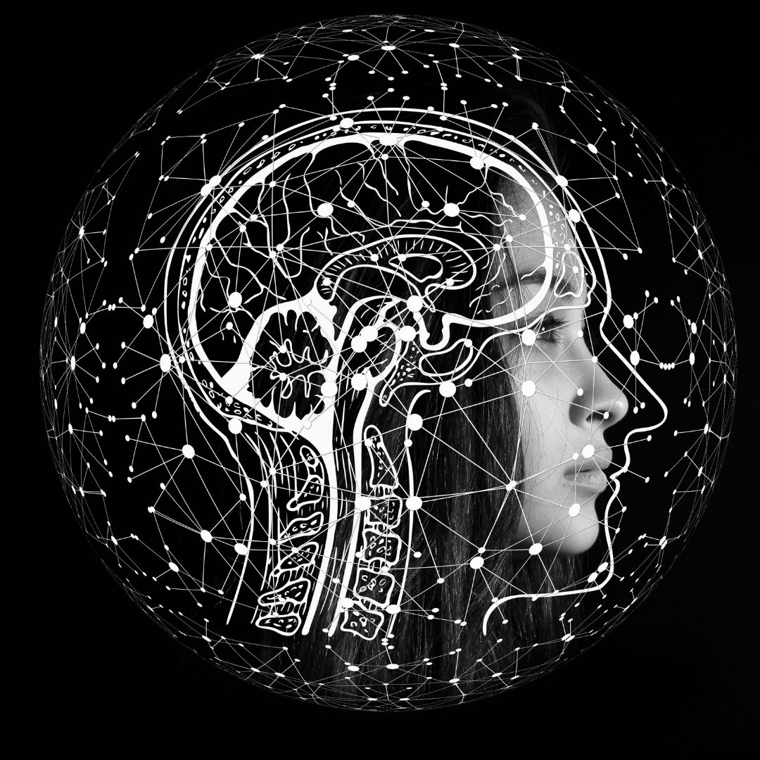 graphic of a brain and connections